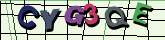 Chuck Norris has counted to infinity. Twice.