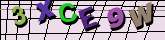 Chuck Norris has counted to infinity. Twice.