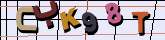 Chuck Norris has counted to infinity. Twice.