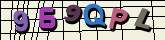 Chuck Norris has counted to infinity. Twice.