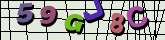 Chuck Norris has counted to infinity. Twice.
