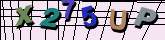 Chuck Norris has counted to infinity. Twice.